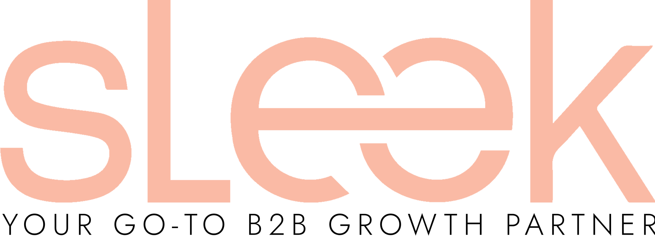 Sleek Marketing Agency